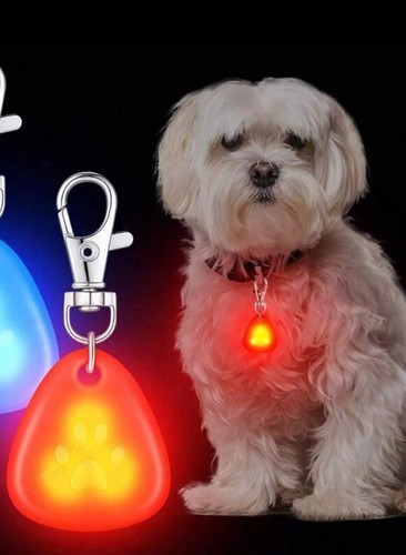 Led pet pendant collar tag - pet,