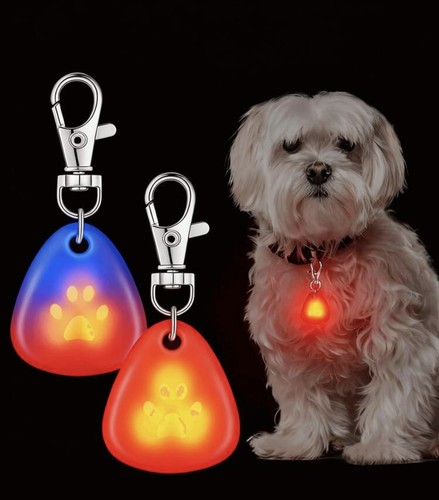 Led pet pendant blue - led,